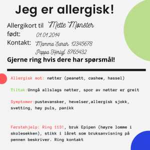 allergikort Mette Mønster